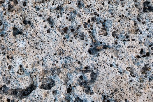High-resolution image of a porous rock texture found in Al Ahmadi, Kuwait.