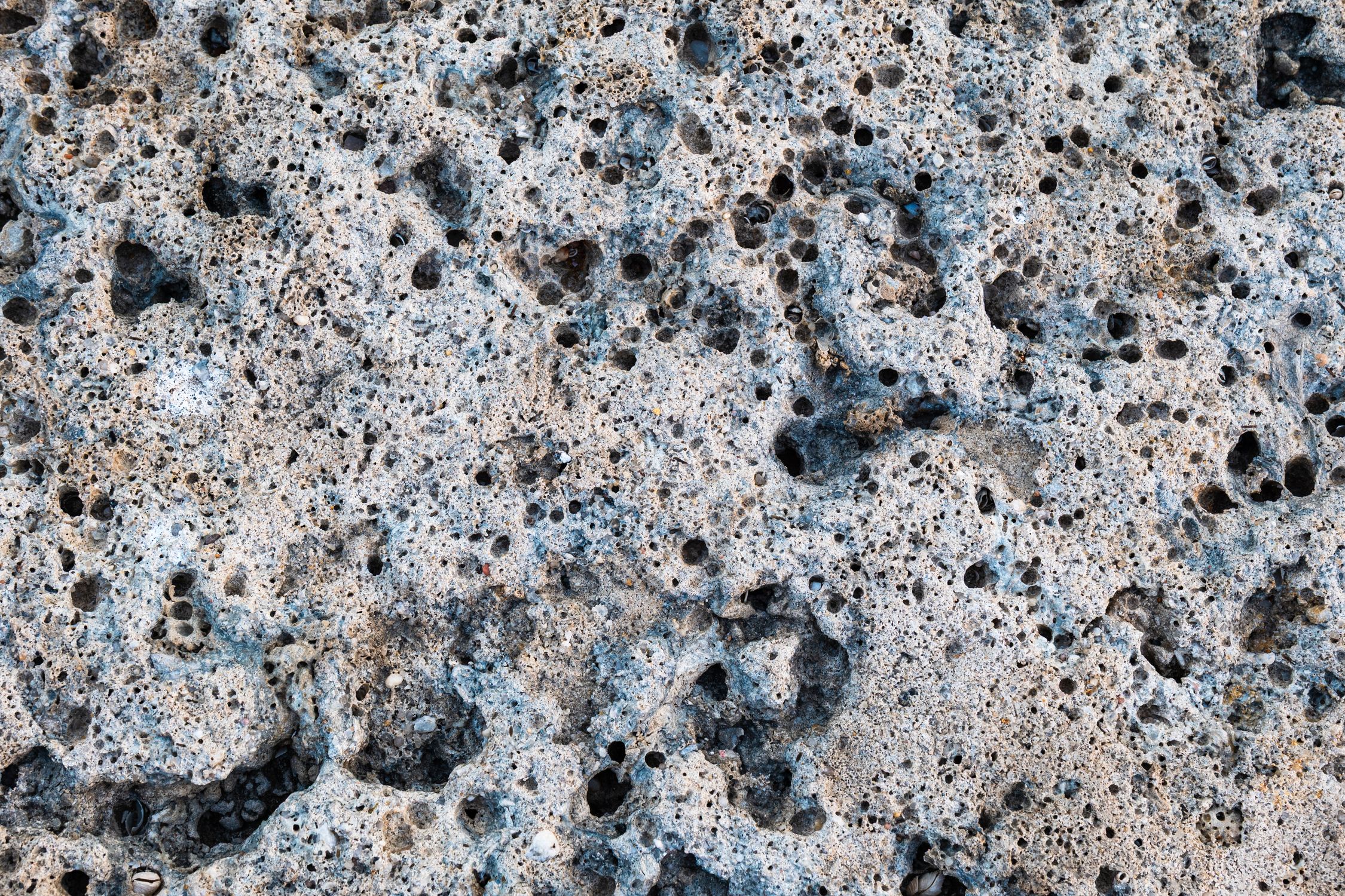 Close-Up of Porous Rock Surface in Kuwait · Free Stock Photo