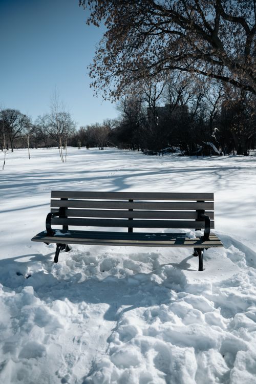 Free A wooden bench in a snowy park with bare trees, capturing a serene winter scene. Stock Photo