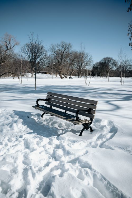 Free A solitary park bench sits quietly amidst a snowy winter landscape, surrounded by bare trees. Stock Photo