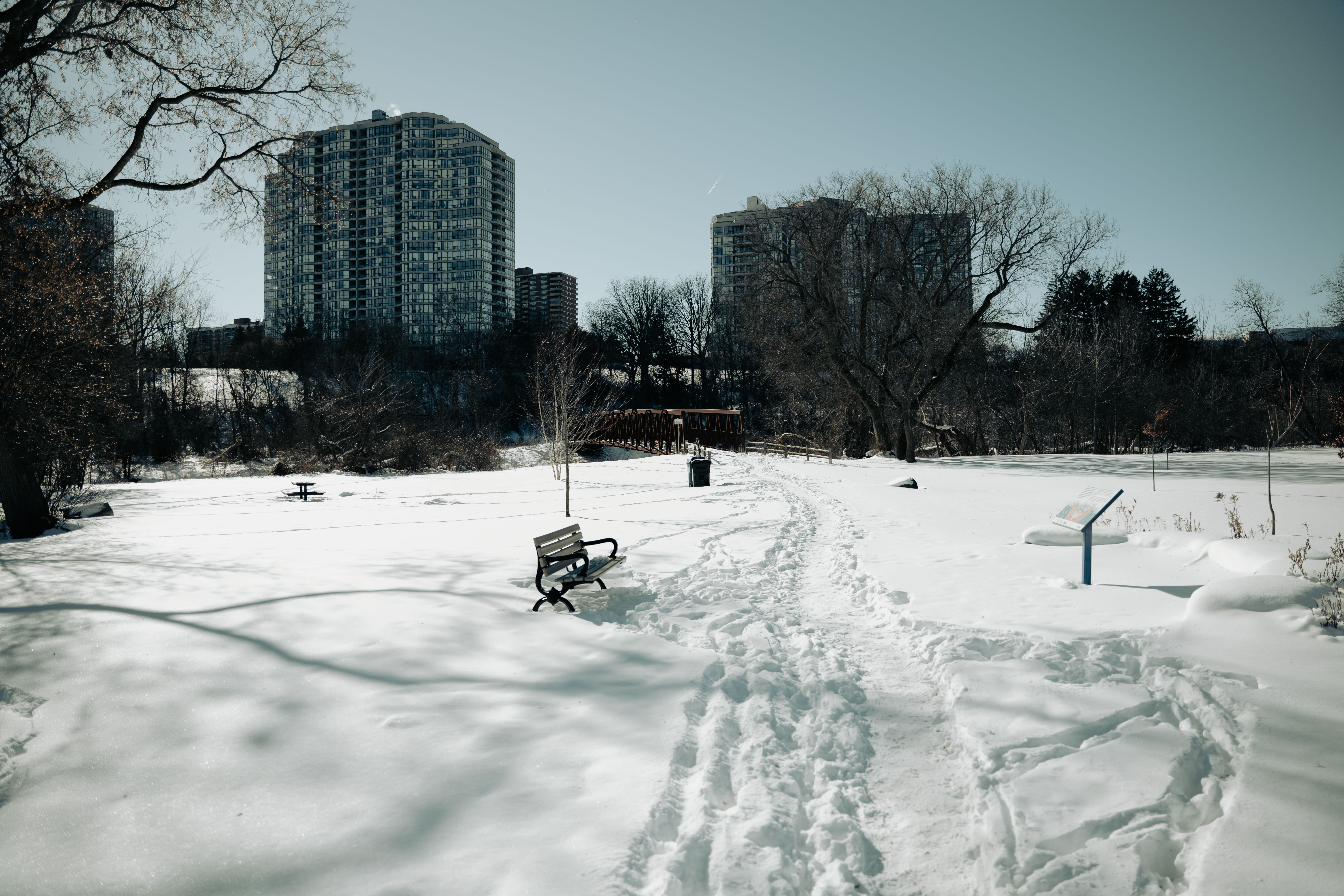 Snow-covered urban park with city towers in the background