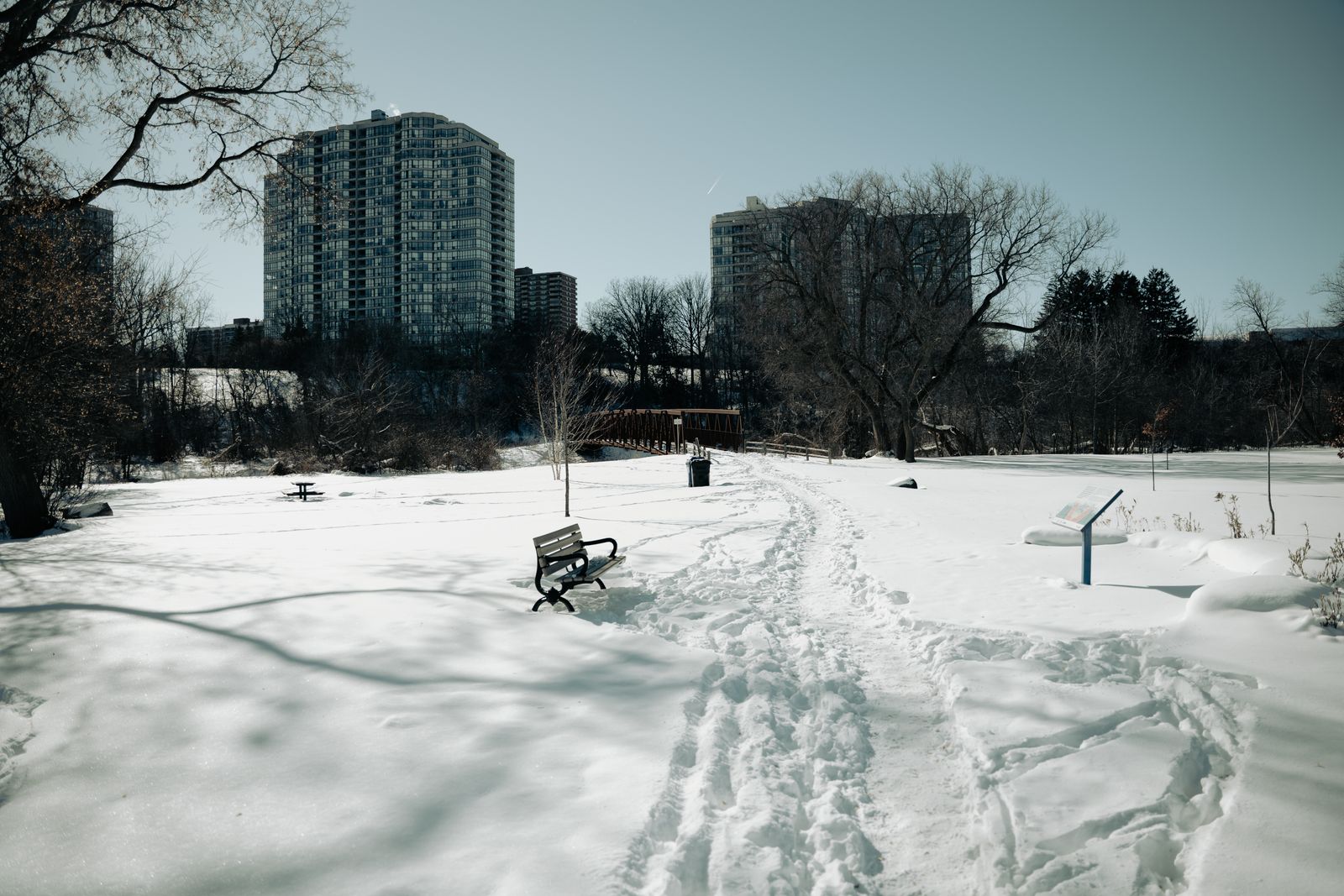 Snow-covered urban park with city towers in the background