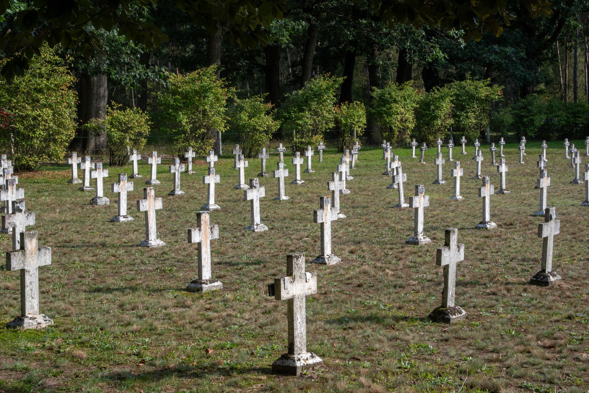 Întreținere extinsă la Cimitirul Comun Sfântu Gheorghe