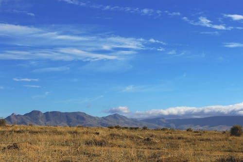 Immagine gratuita di cielo azzurro, cloud, fanilo