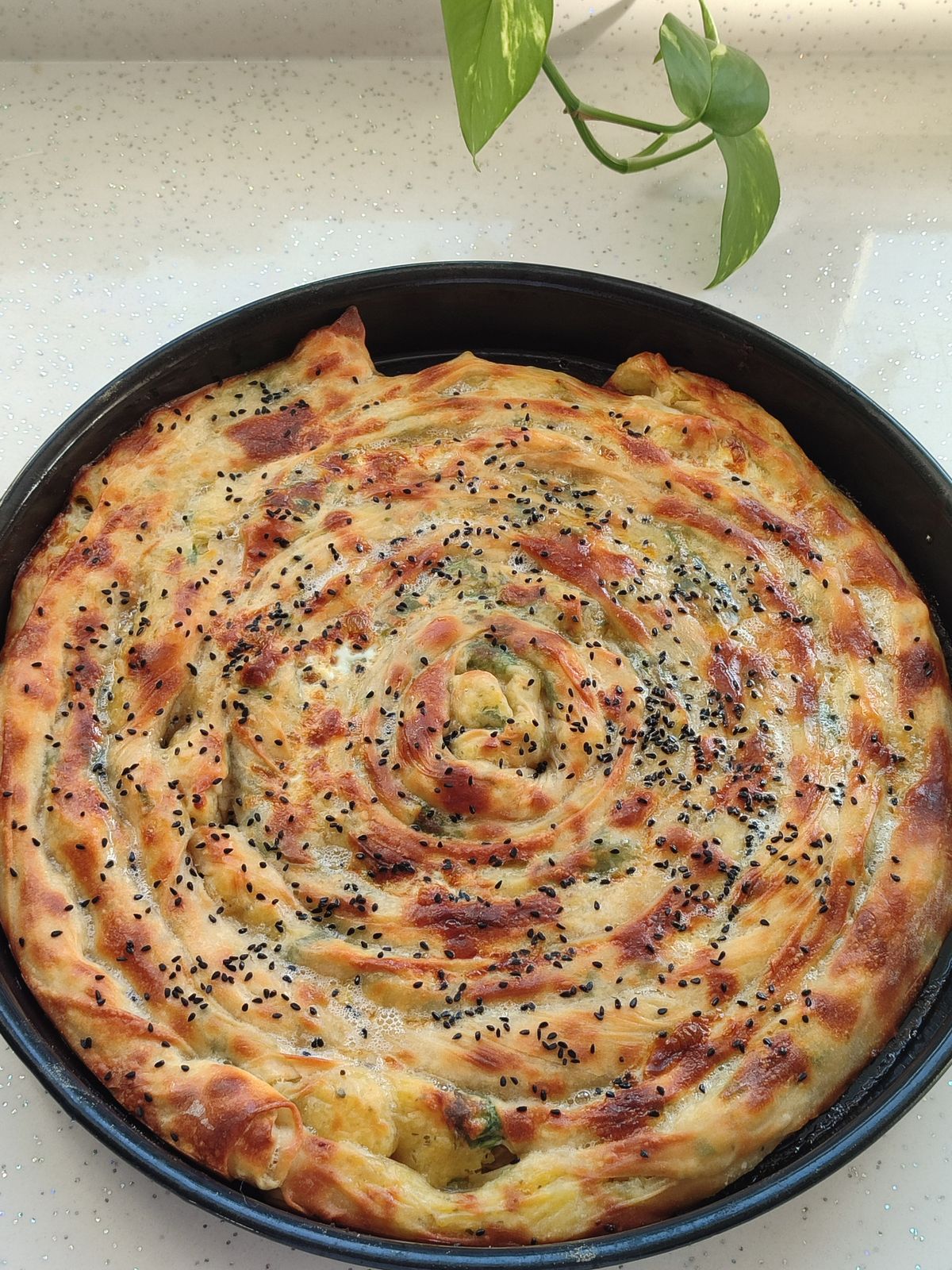 Bilecik pırasalı börek fırında kızarmış