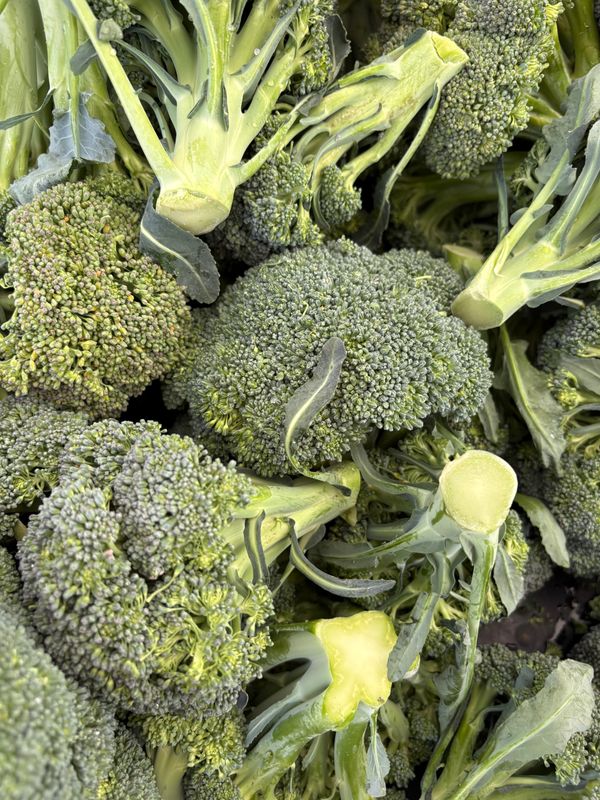 Organic Broccoli