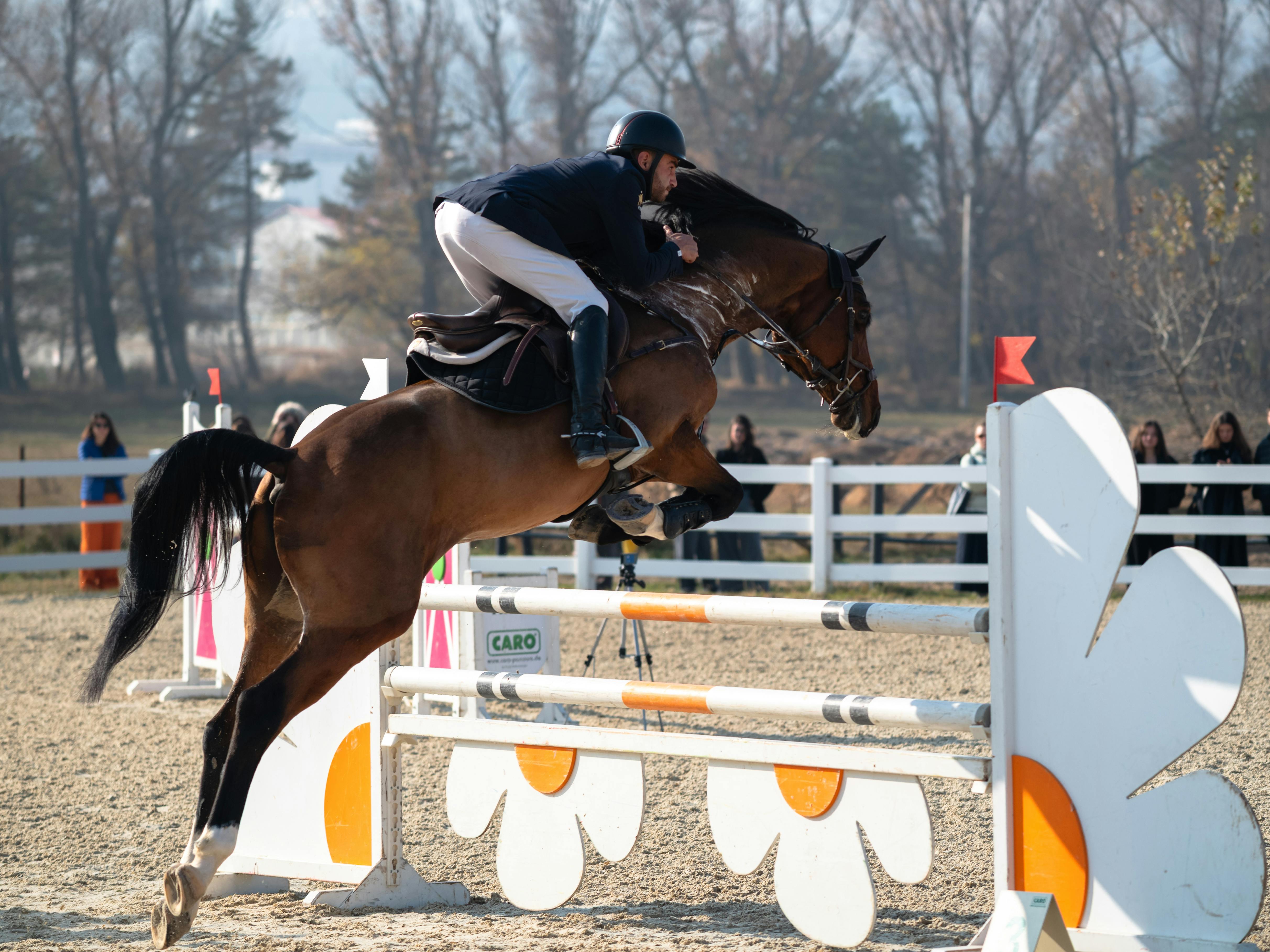 Outdoor shows slated soon in Harrisburg, Clearfield, Pittsburgh, Erie - Erie Times — Photo by Genadi Yakovlev on Pexels