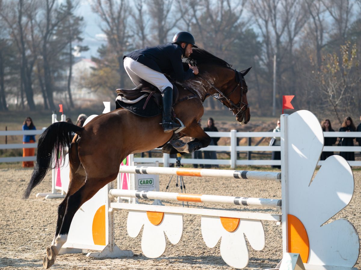 Showjumping event