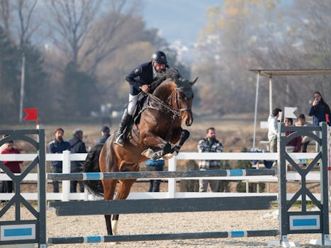 A skilled rider jumps a horse over obstacles at an outdoor equestrian event with spectators.