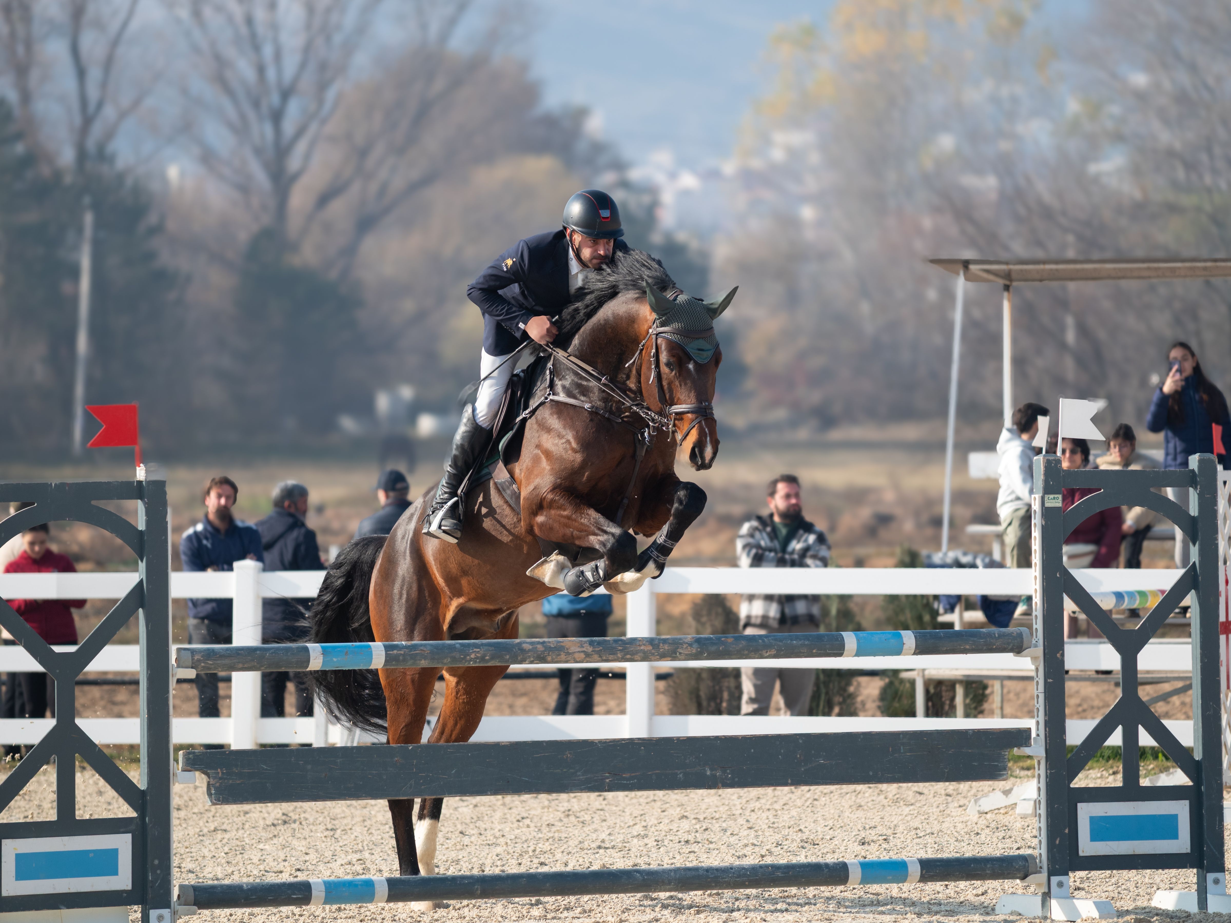 Rider Competing in Outdoor Equestrian Event · Free Stock Photo