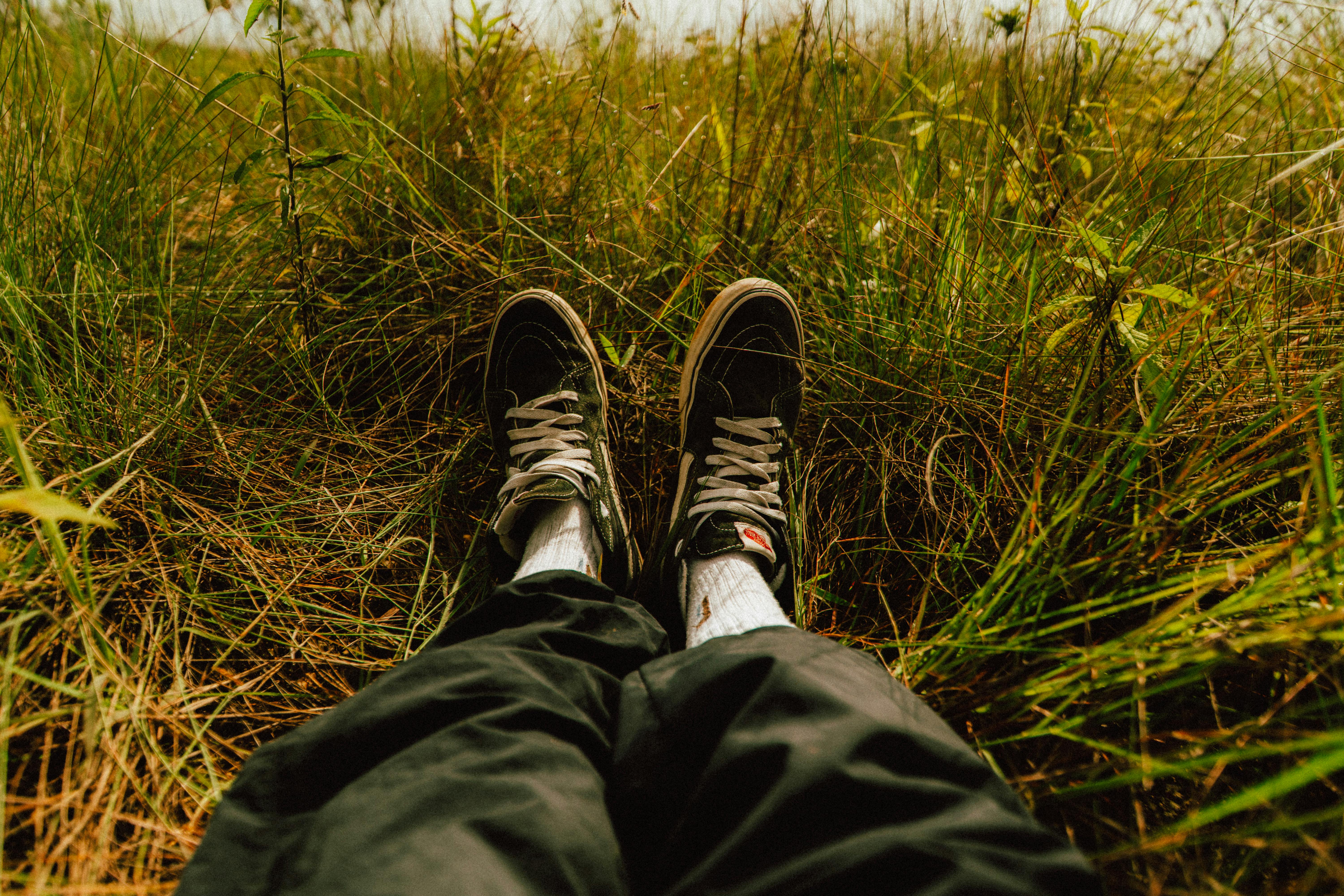 bezplatná Osoba sedící ve vysoké trávě v teniskách a zachycující okamžik relaxace a klidu. Základová fotografie