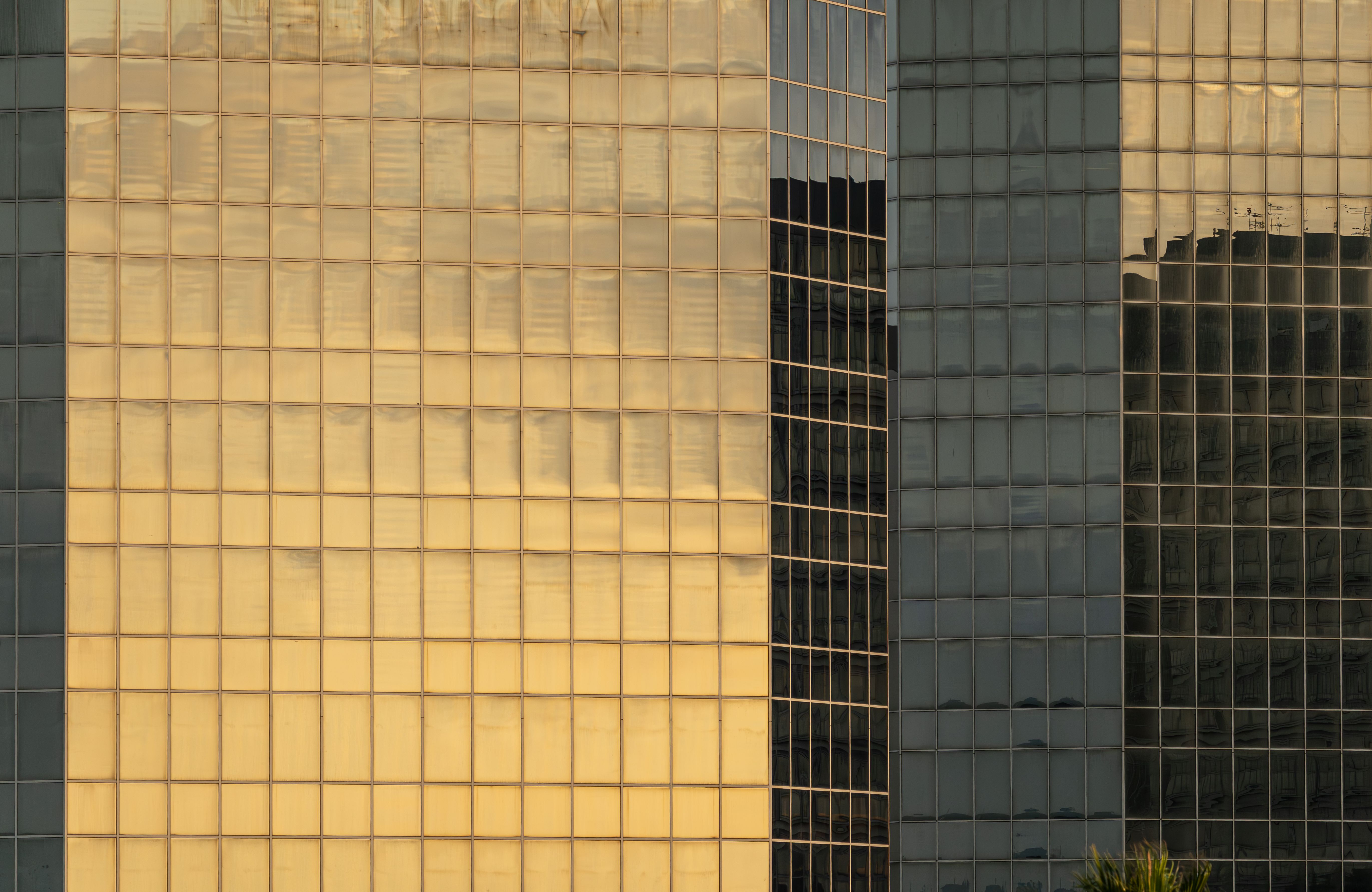 Modern Glass Facade with Golden Sunset Reflection · Free Stock Photo
