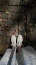 Stylish Sneakers on Leaf-Covered Pathway