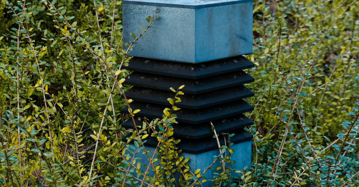 ¿Qué tendencias están transformando la agricultura de precisión con sensores e IA? ¿Qué tendencias están transformando la agricultura de precisión con sensores e IA?