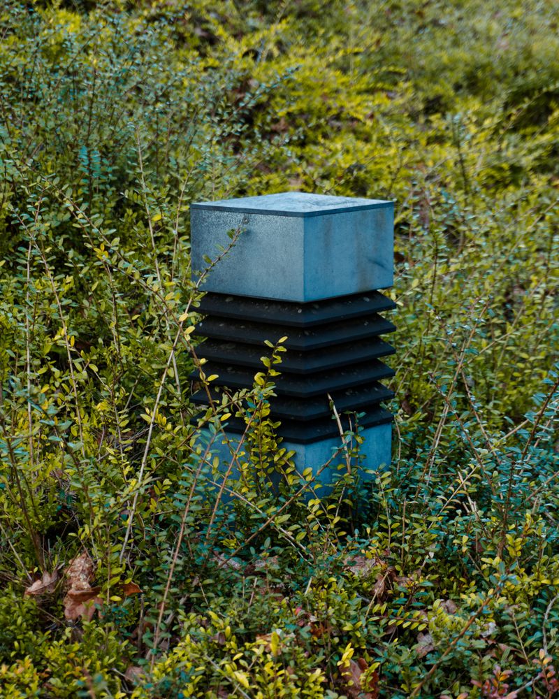A remote environmental sensing station tucked into isolated vegetation