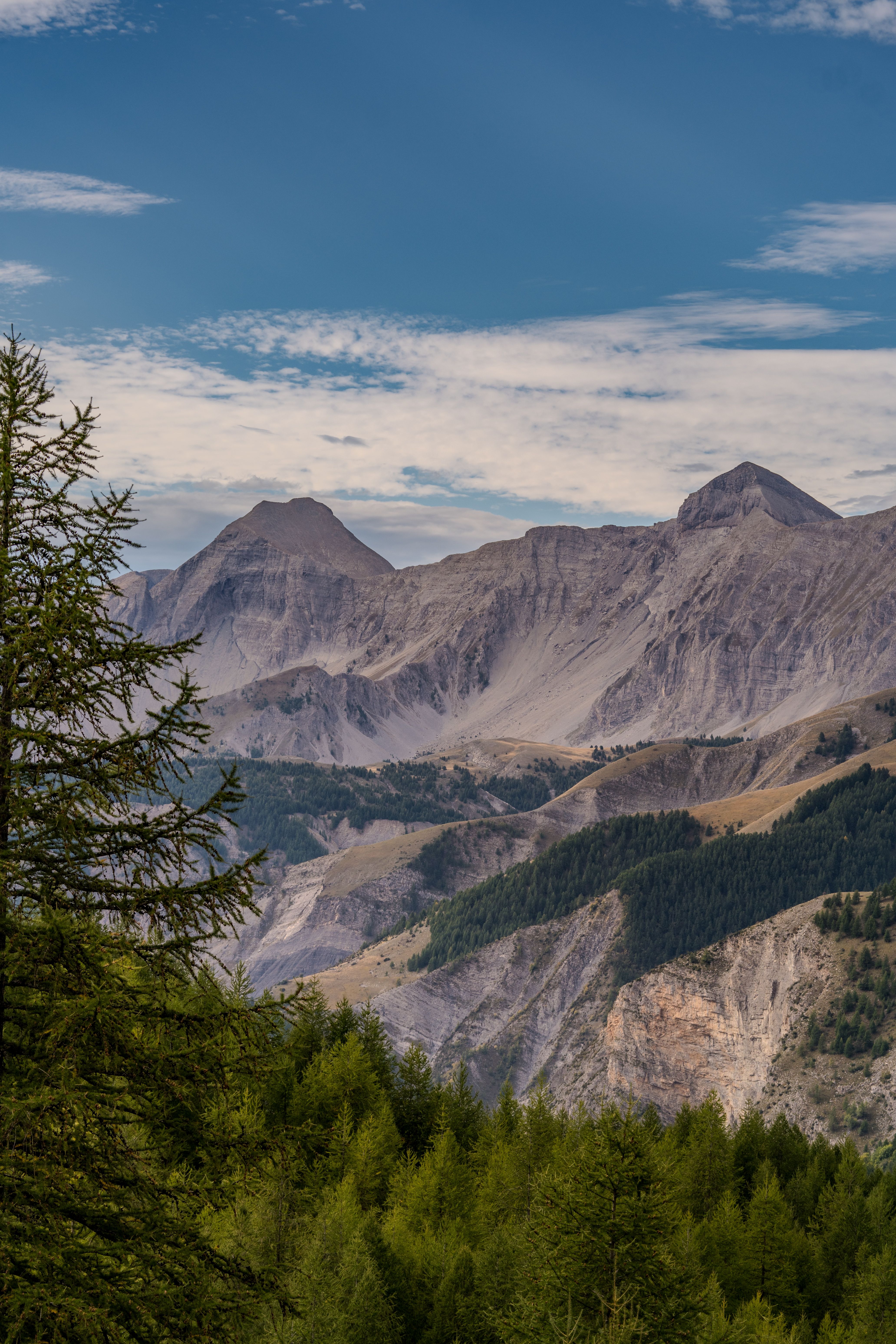 Majestic Mountain Landscape with Forest Views · Free Stock Photo
