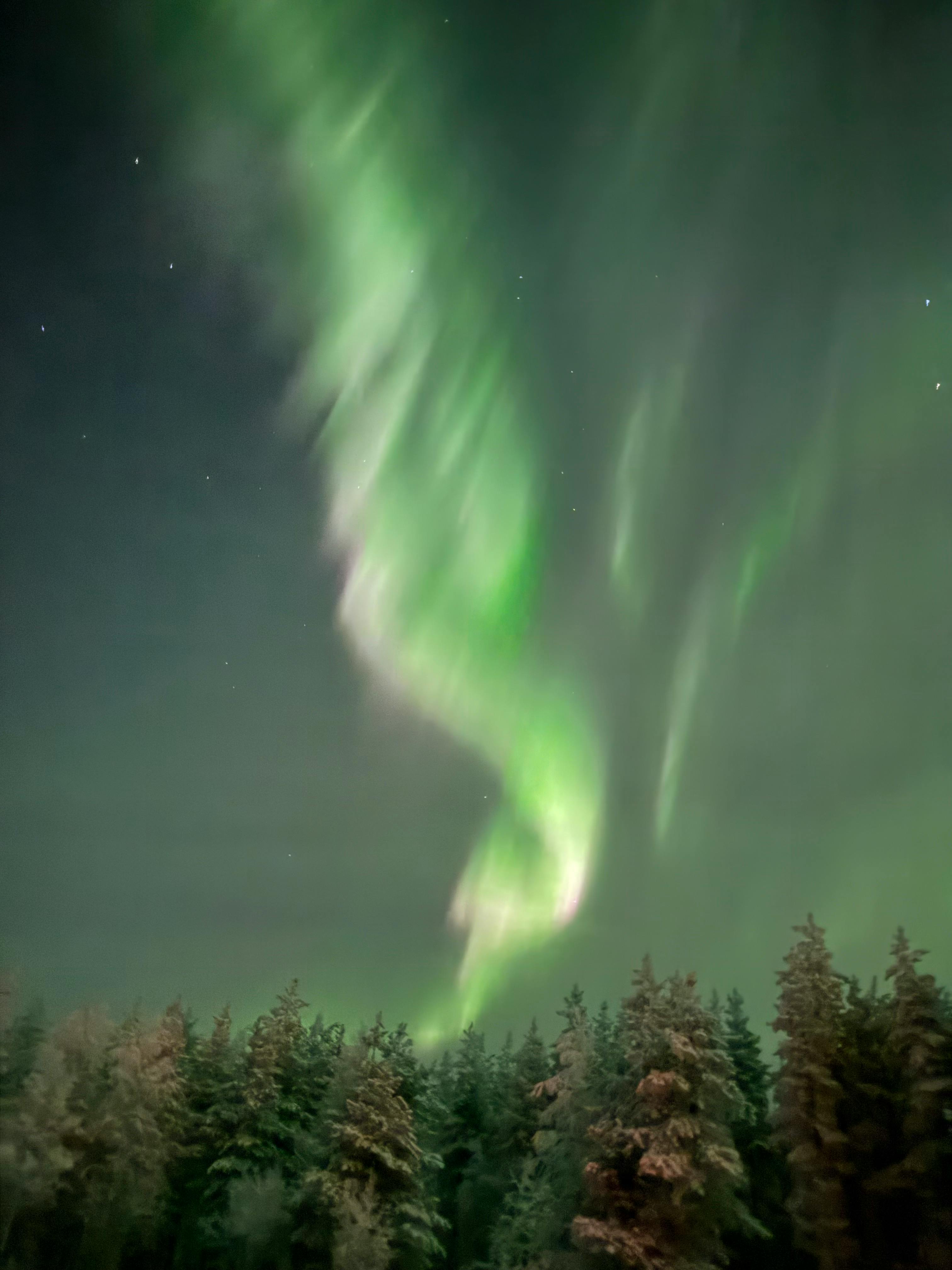 Ingyenes stockfotó aurora borealis, celebek, csillagászat témában Stockfotó