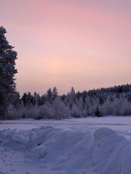 Serene snowy forest landscape with a pink sunset sky, perfect for winter-themed projects.