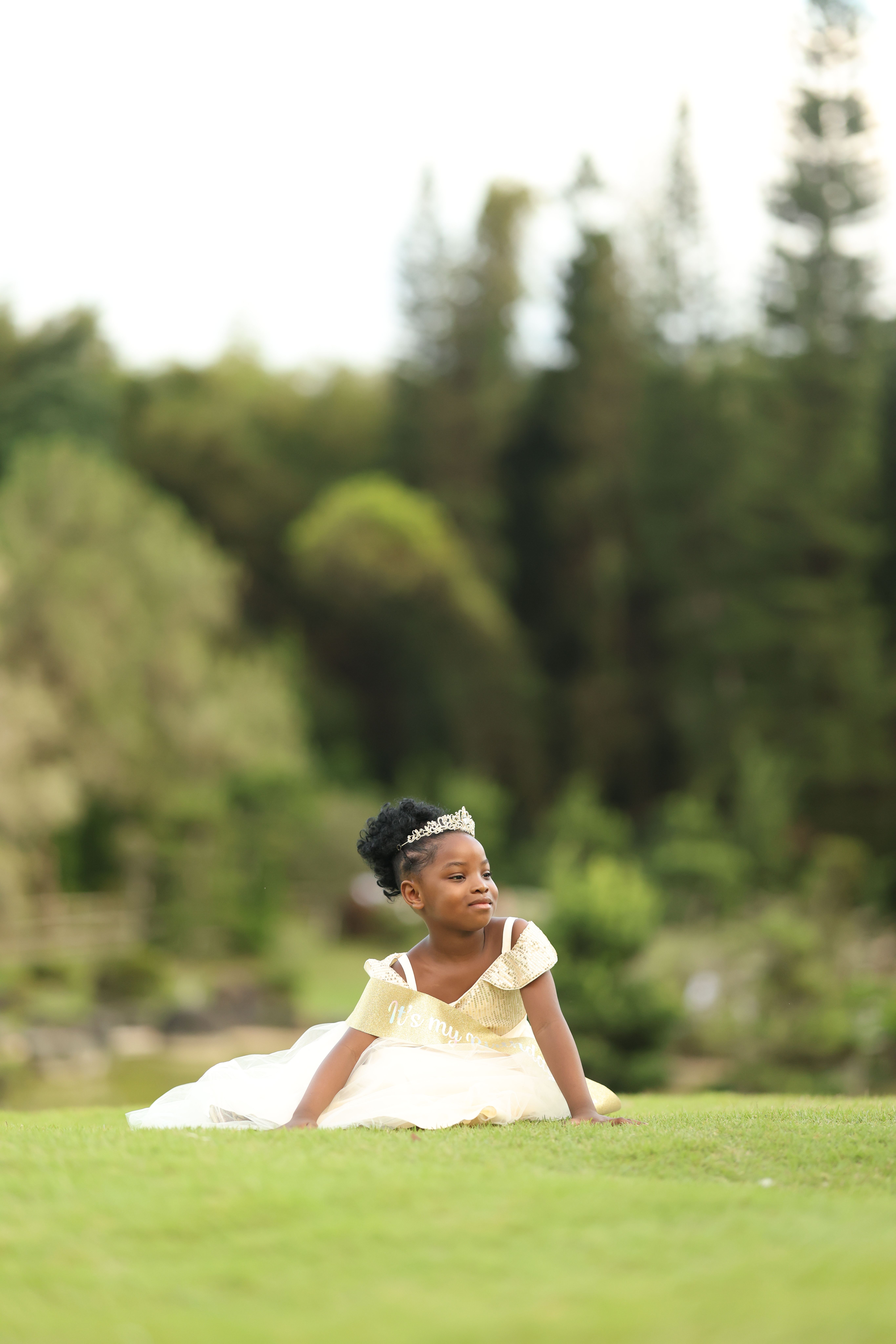 Young girl in a princess dress posing on grass, surrounded by nature.