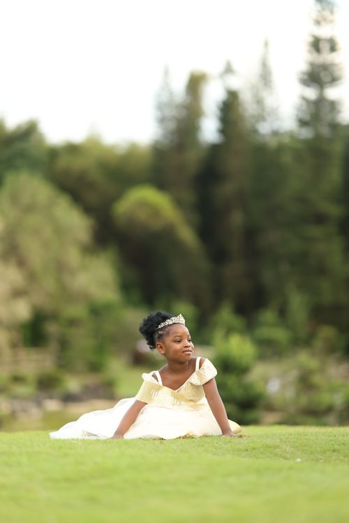 Free Young girl in a princess dress posing on grass, surrounded by nature. Stock Photo