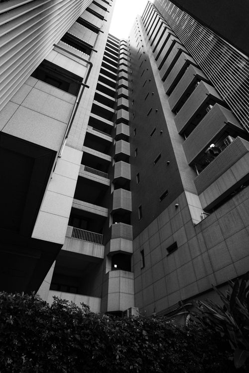 Free Black and white view of a high-rise building in Taiwan's urban landscape, showcasing modern architecture. Stock Photo