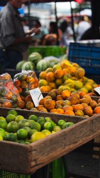 Colorful citrus fruits displayed at an outdoor market, showcasing a local culinary experience.