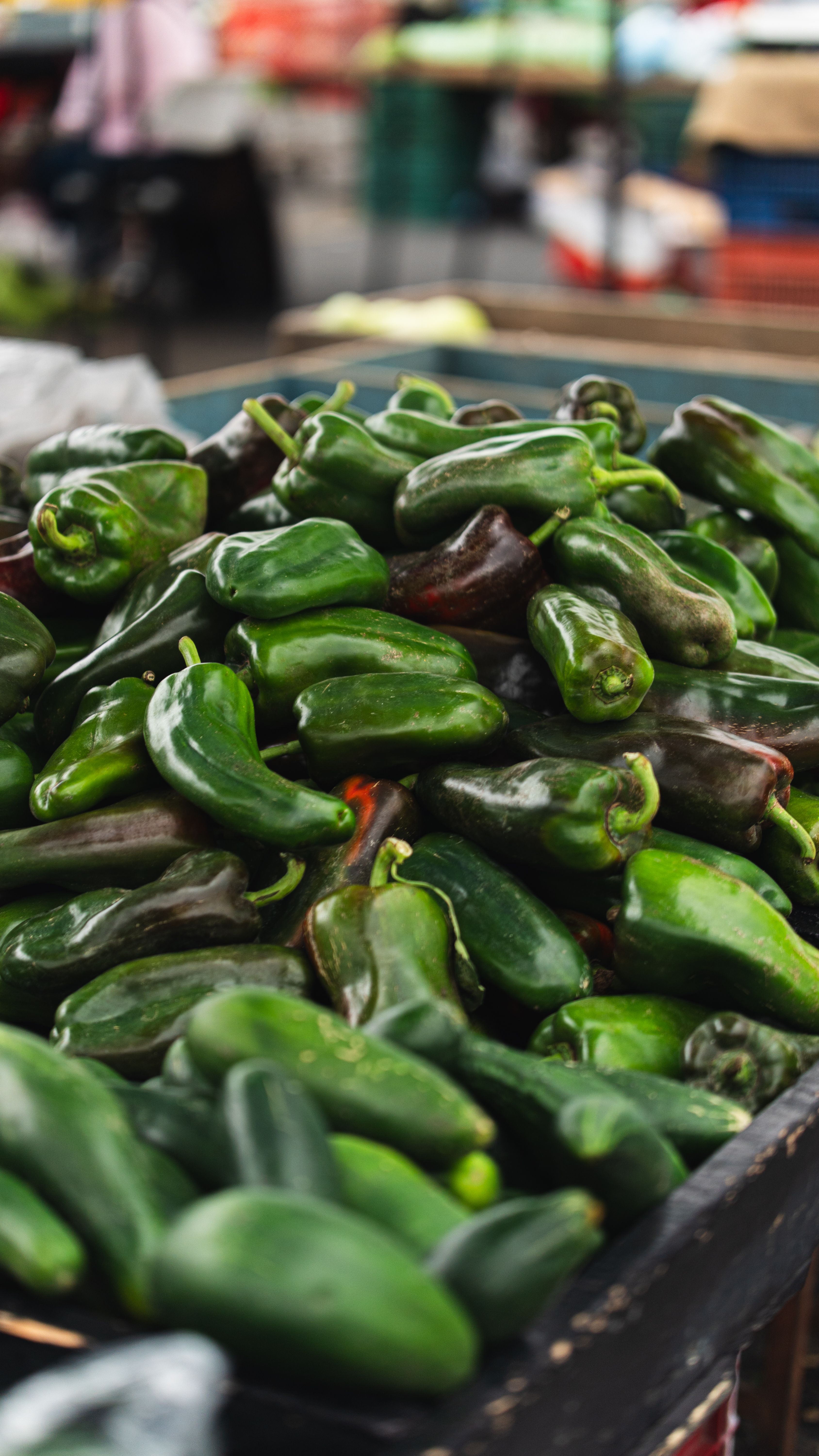 Jalapeno peppers, Chipotle