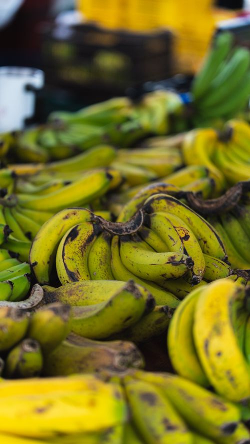 Free A close-up view of a vibrant pile of yellow bananas displayed at an outdoor market. Stock Photo