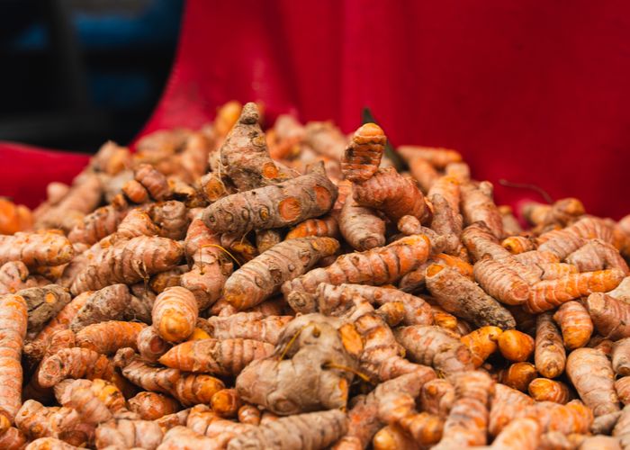 Turmeric Plant - Urban Goes Green Plant Guide