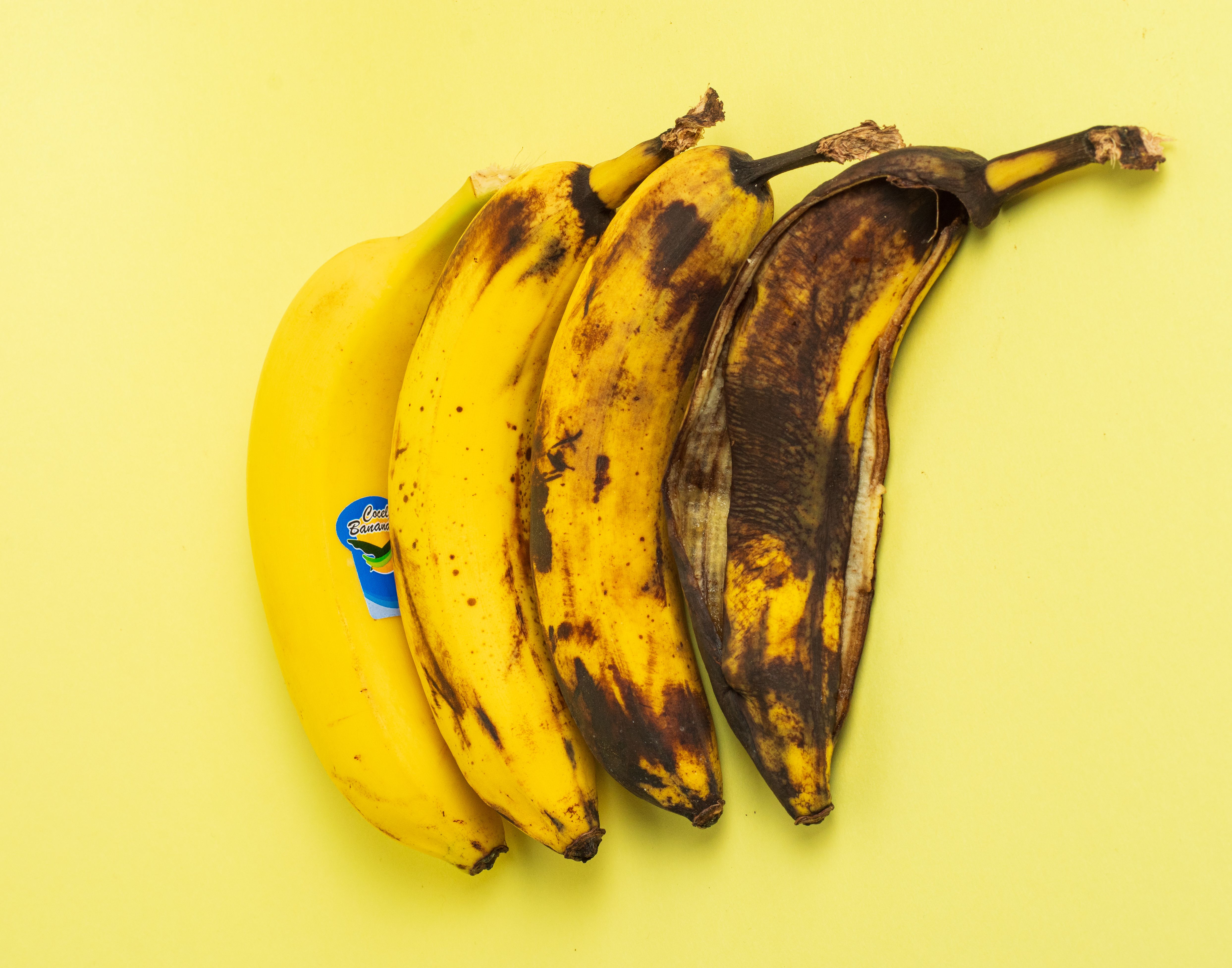 Bananas in Various Stages of Ripeness on Yellow · Free Stock Photo