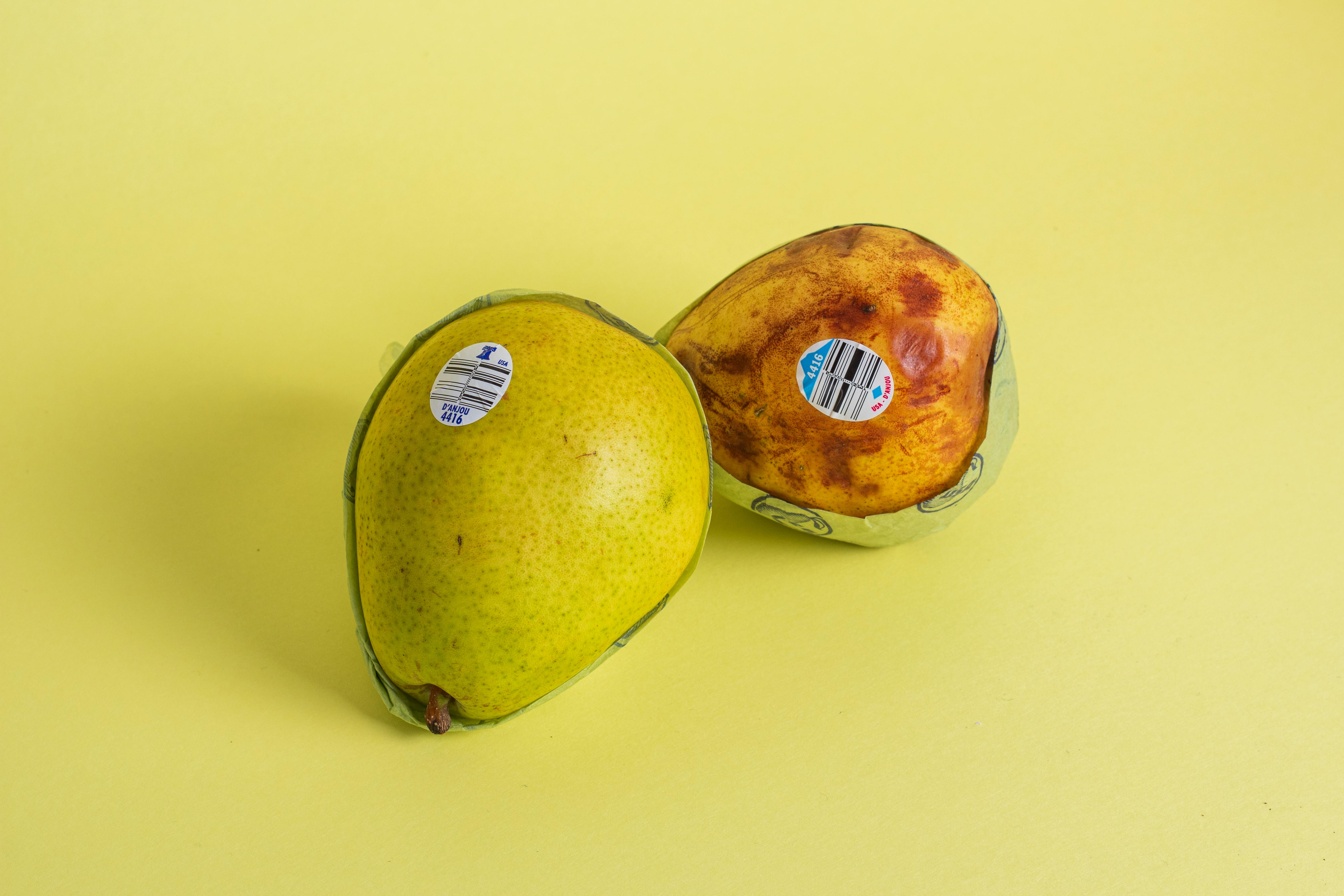 Δωρεάν Δύο αχλάδια σε κίτρινη επιφάνεια, αποτυπωμένα σε μινιμαλιστικό σκηνικό νεκρής φύσης. Φωτογραφία από στοκ φωτογραφιών