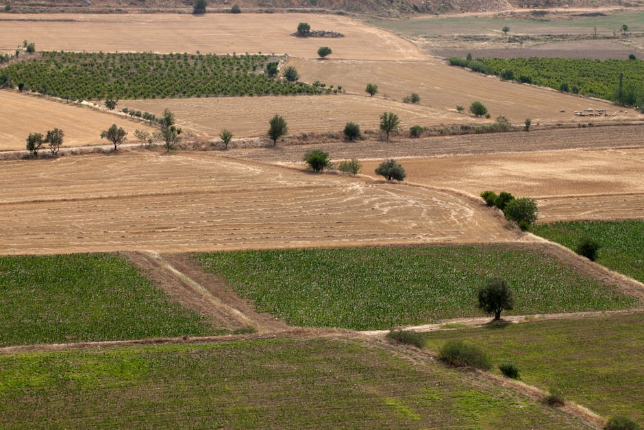 Photo by Jeffry Surianto Aerial view of lush farmland patches with varying crops and scattered trees.