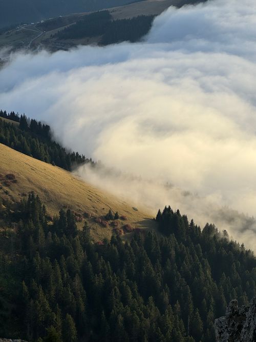 Free Breathtaking view of rolling fog over scenic mountain with lush forest. Stock Photo