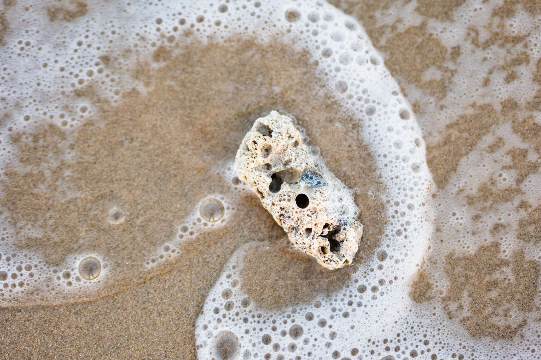 Close-up of sea foam around a piece of driftwood on a sandy beach, showcasing natural textures and calm atmosphere.