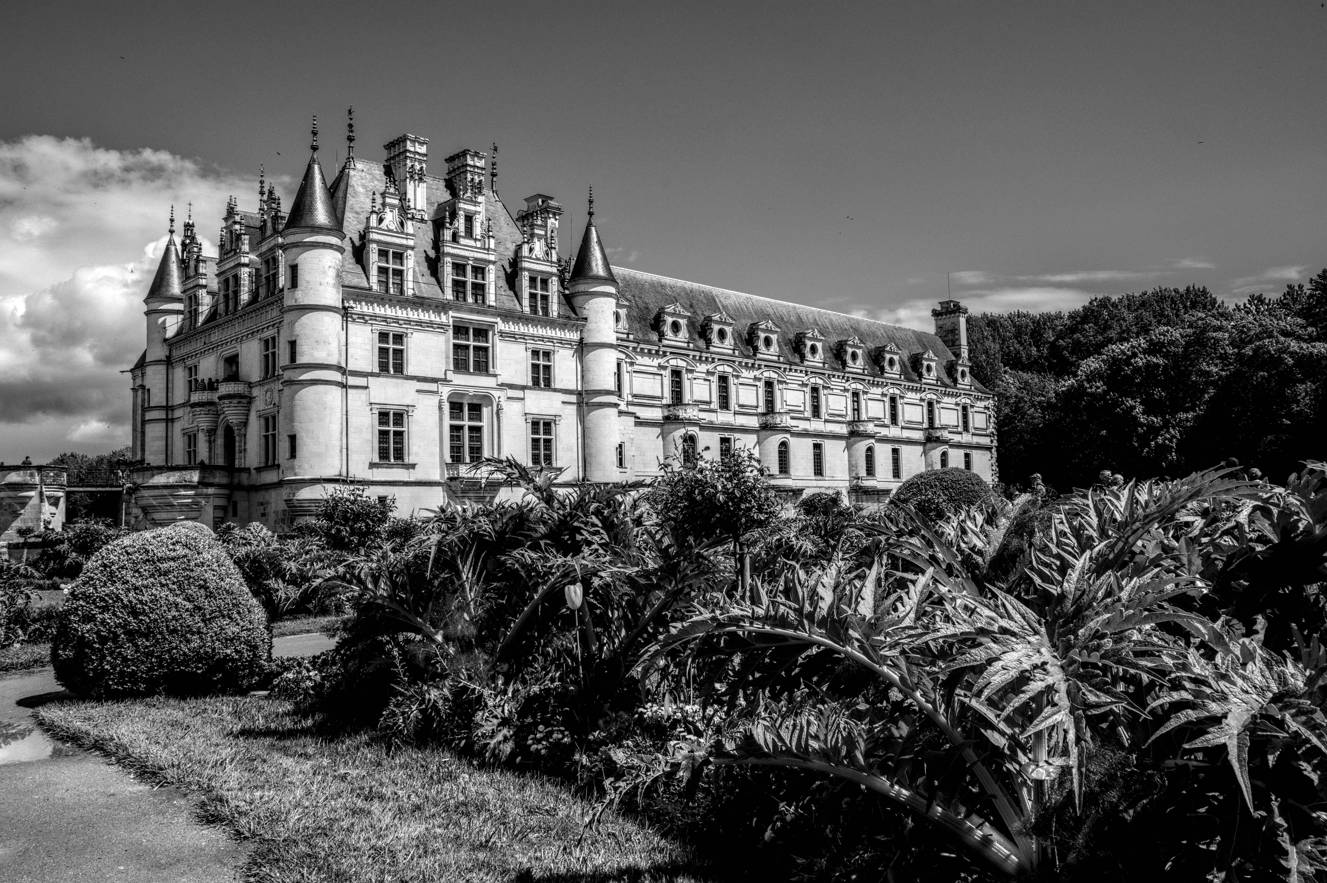 Voyage à vélo - 3 jours à la découverte des châteaux de la Loire à vélo