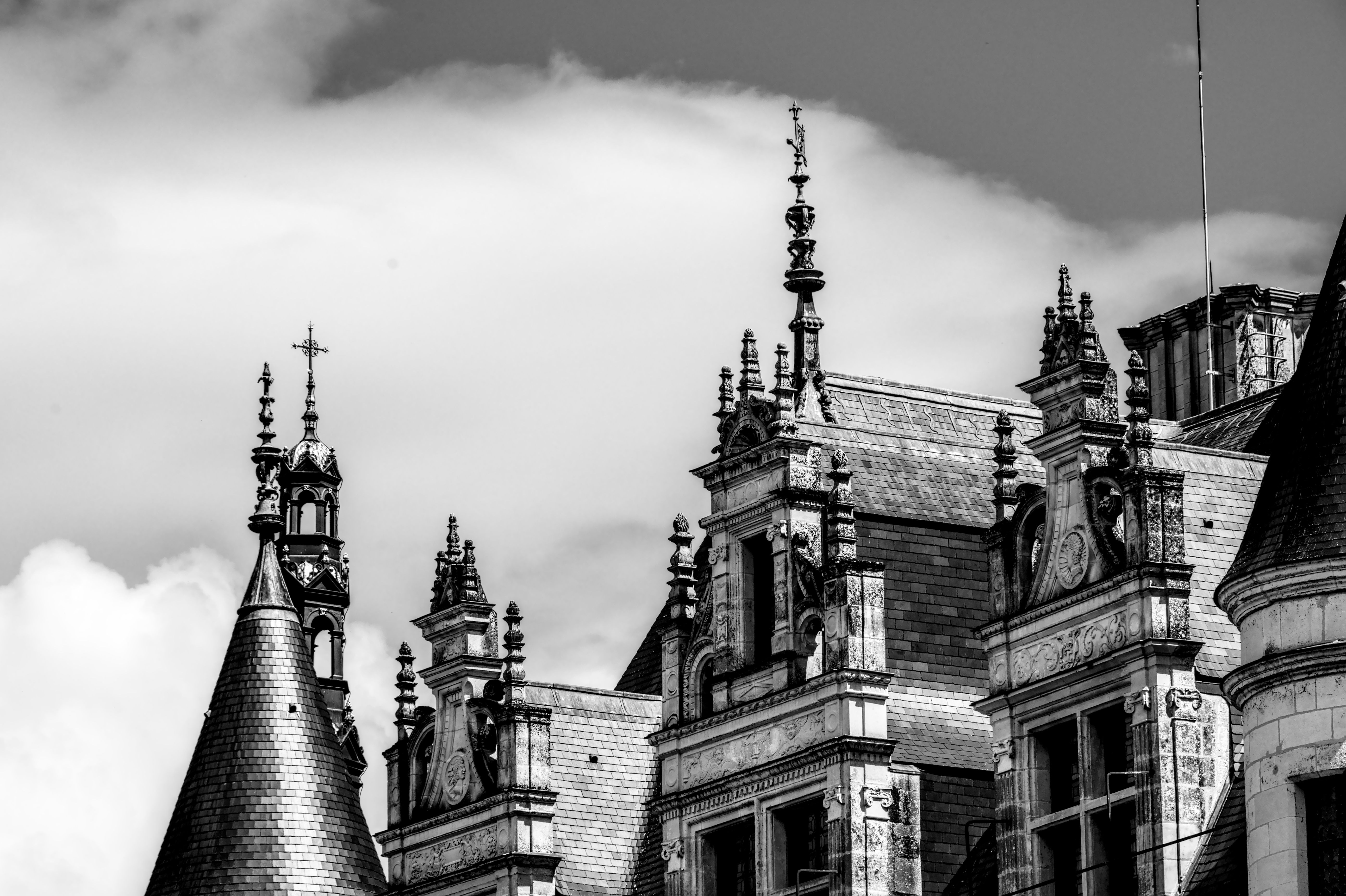 Gothic Rooftop Spires of Château in Black and White · Free Stock Photo
