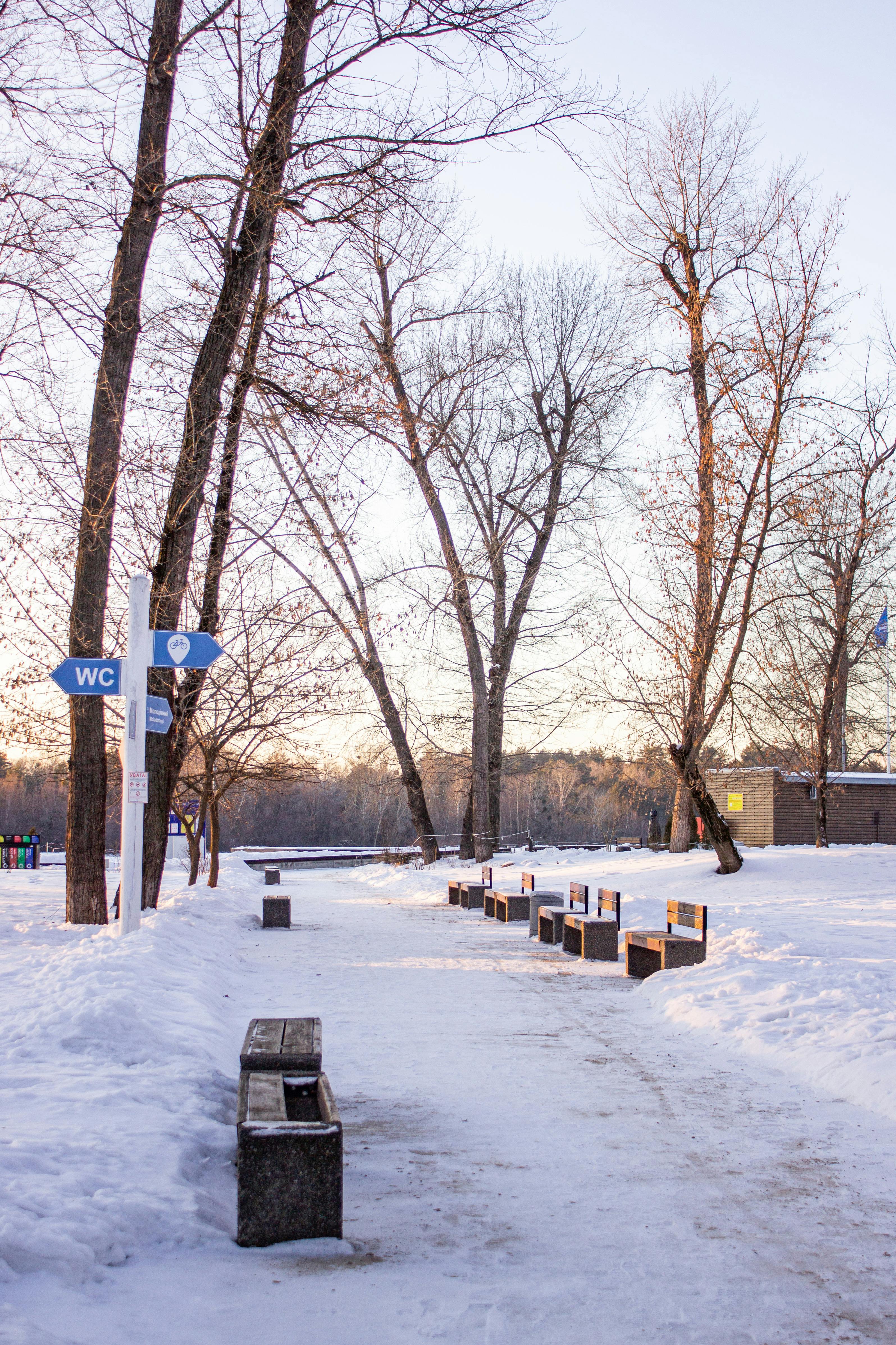 grátis Cena serena de inverno em um parque com caminhos nevados e árvores despidas ao pôr do sol. Foto profissional