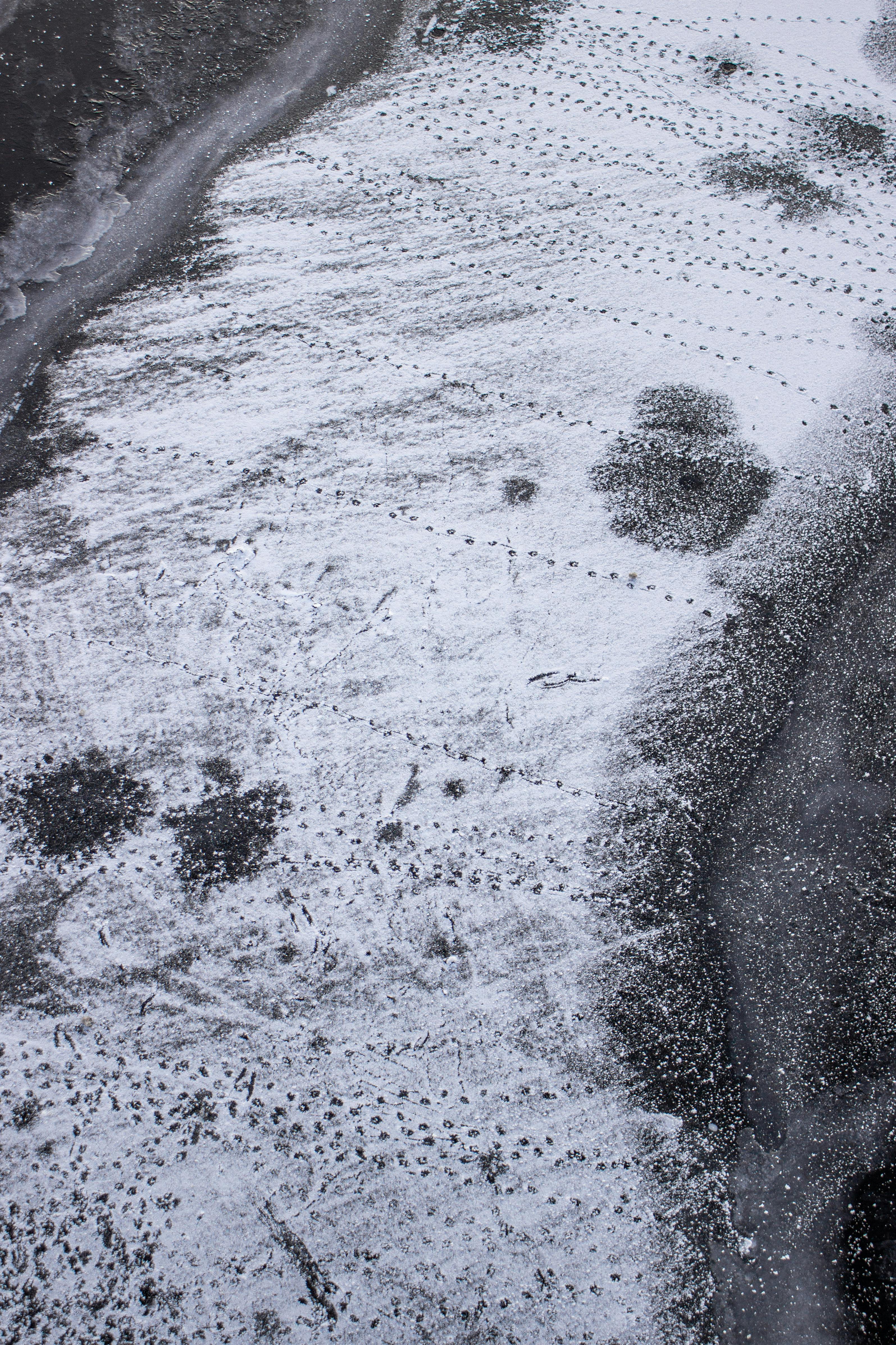 Zadarmo Letecký záber stôp vytvárajúcich vzory na zasneženom ľade, ktoré ukazujú zimnú krásu. Fotka z fotobanky
