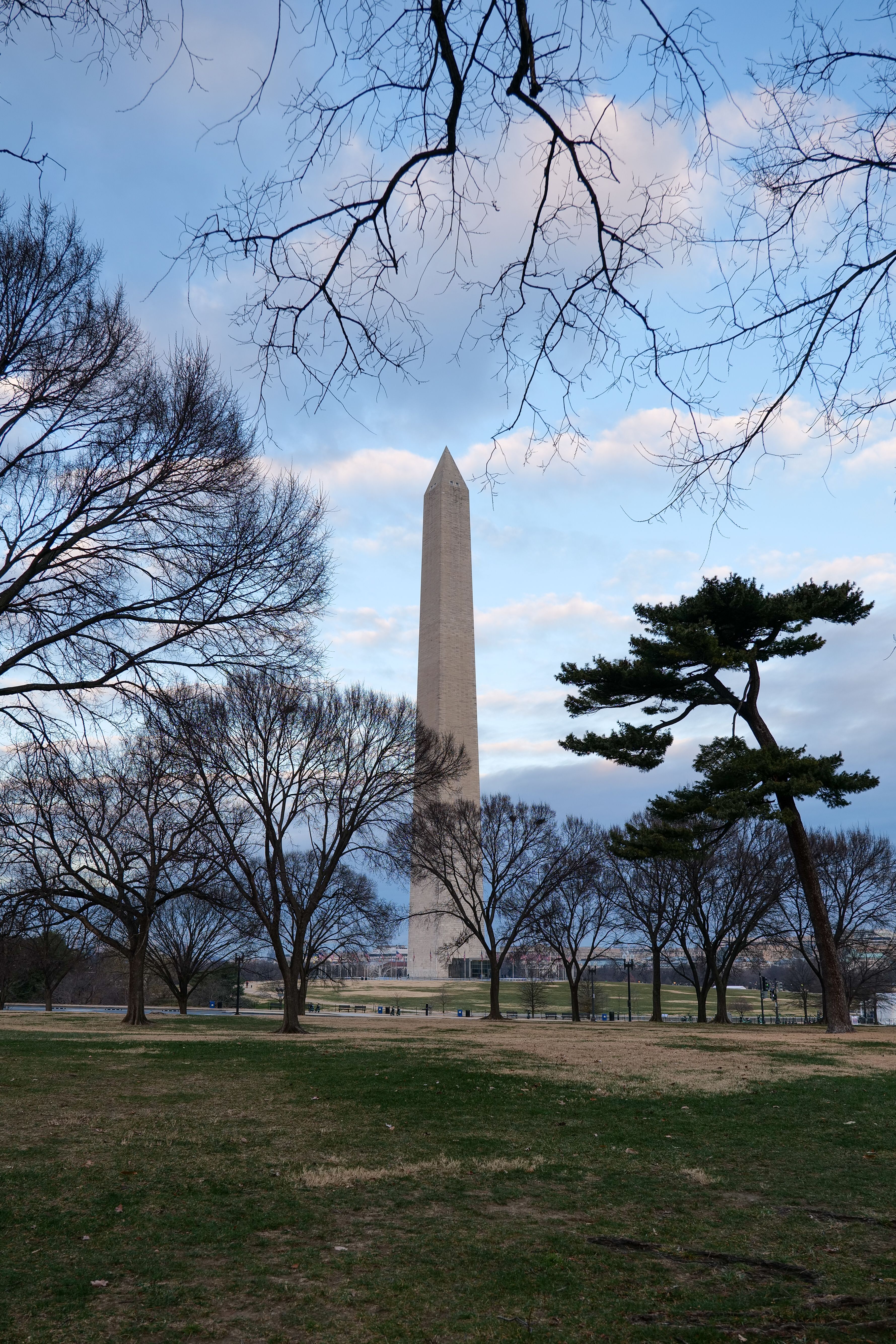 Dc Pfp Photos, Download The BEST Free Dc Pfp Stock Photos & HD Images