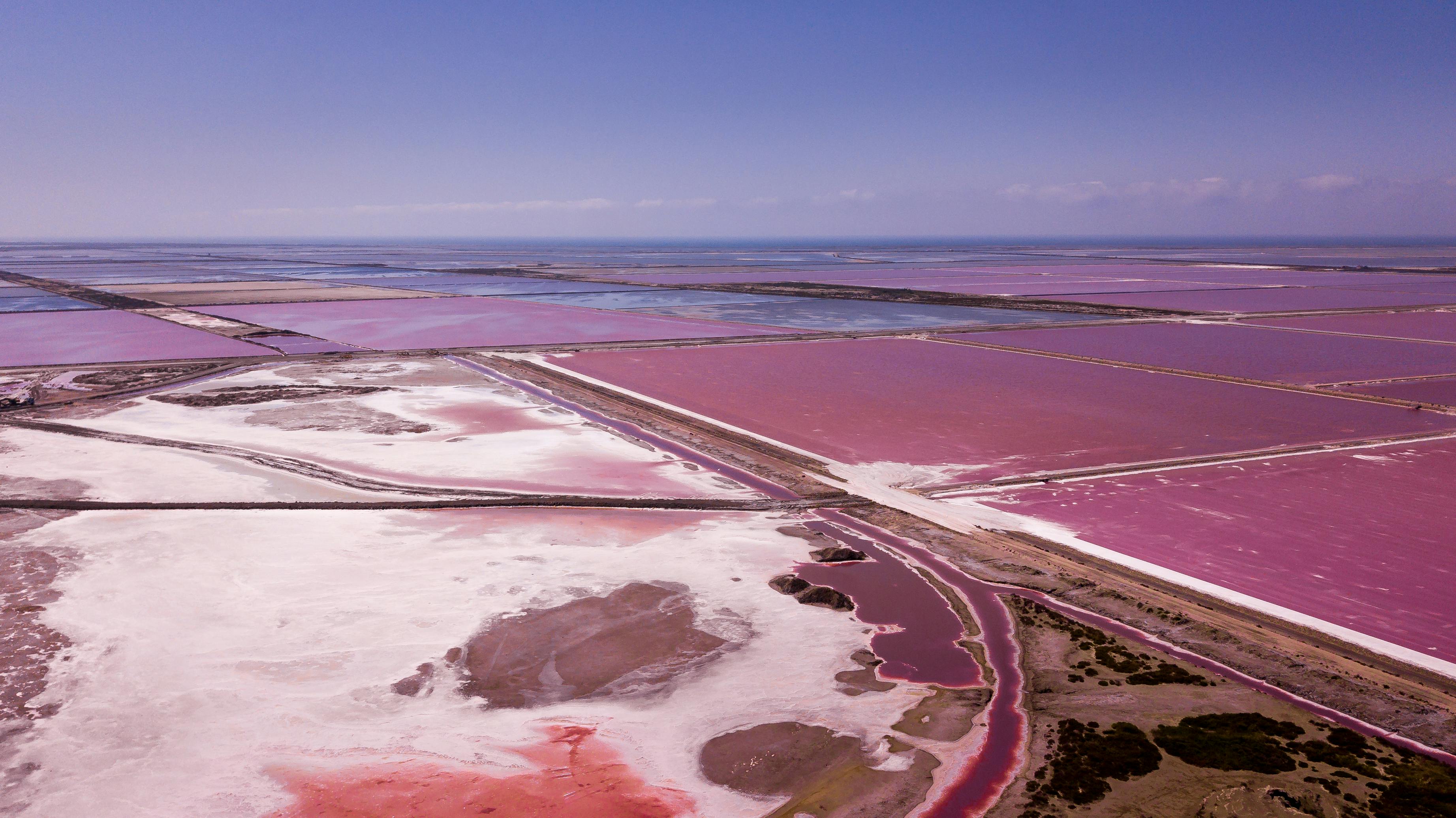 Stunning aerial view of vibrant pink salt flats in the Camargue region, France.