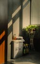 Sunlit Indoor Corner with Potted Plant and Shadows