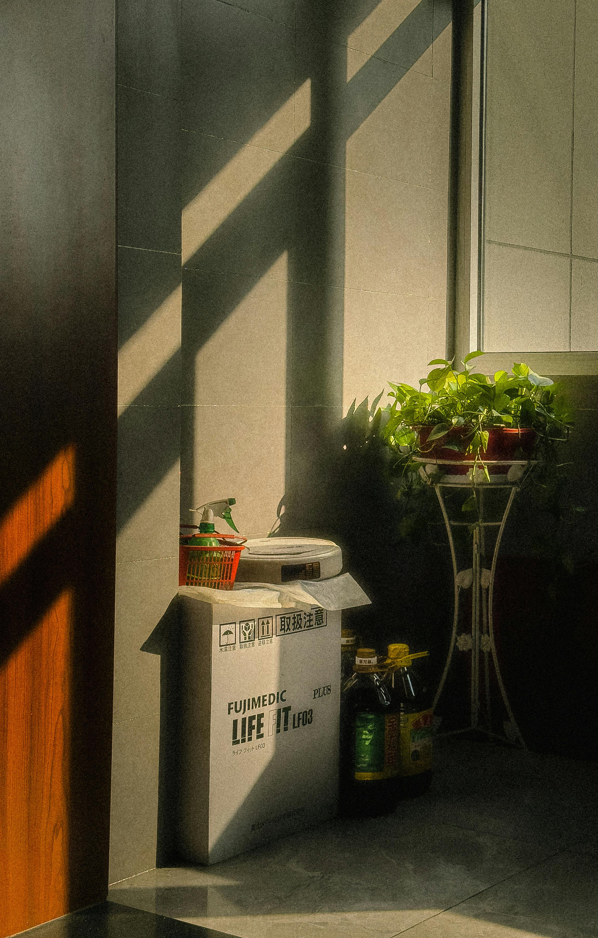 Free A sunlit corner indoors with a potted plant, shadows, and household items creating a cozy atmosphere. Stock Photo