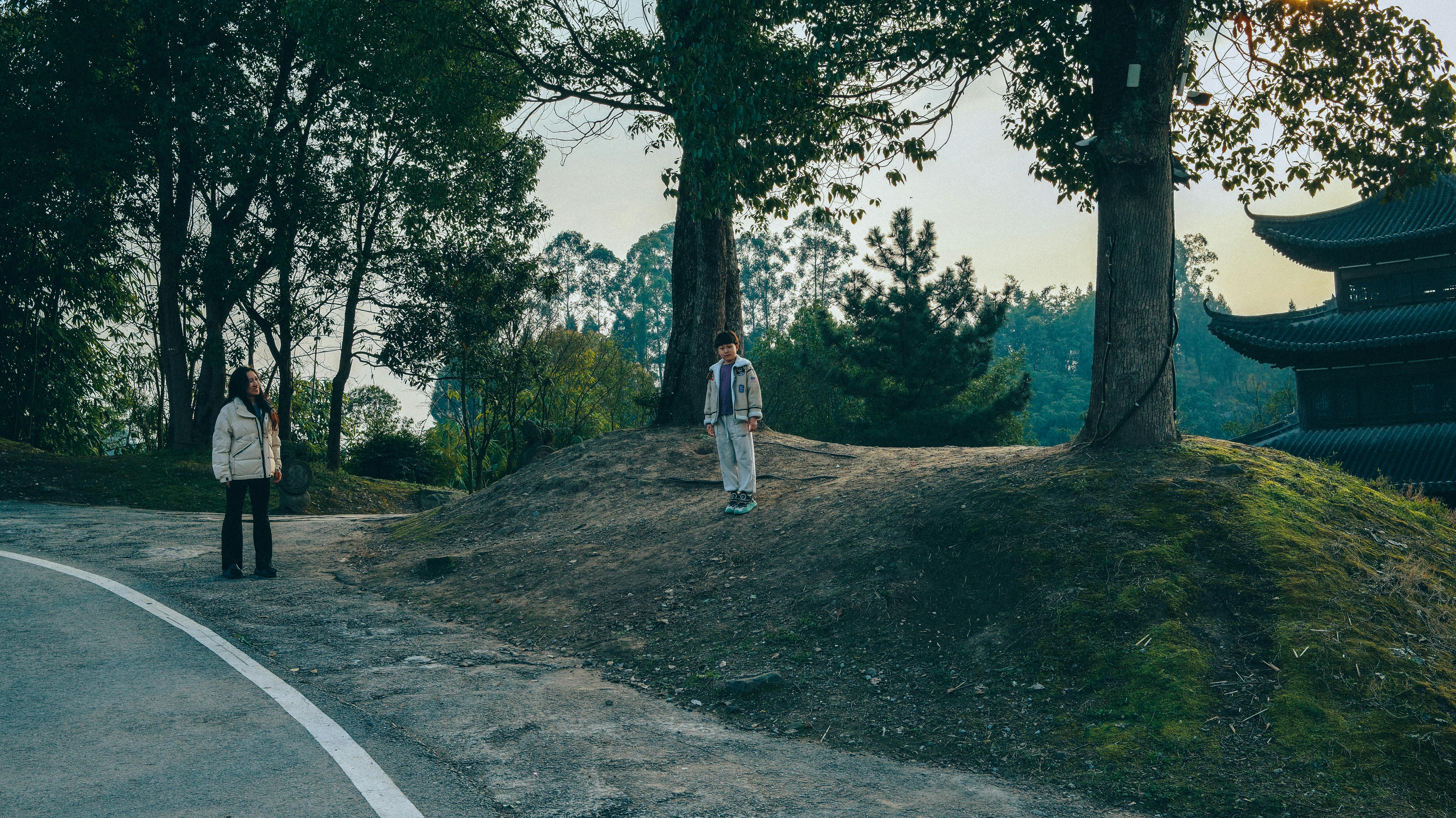 Ücretsiz Ağaçların ve pagodanın yakınında, sakin bir ortamda iki kişi. Stok Fotoğraflar