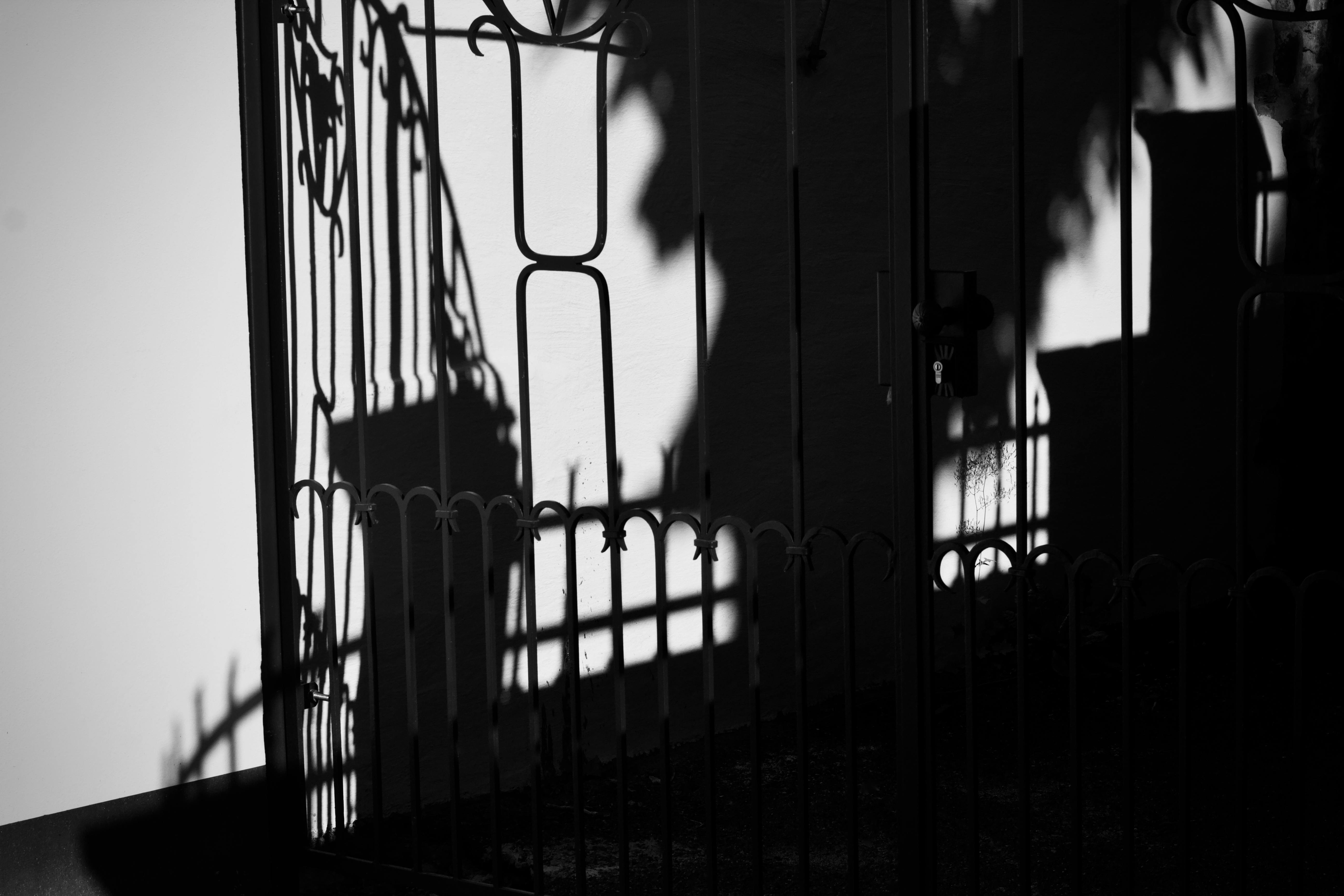 Free Black and white image highlighting complex shadow patterns on an ornate iron gate. Stock Photo