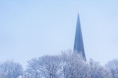 Free A scenic winter view of a church spire rising above snow-covered trees against a clear blue sky. Stock Photo