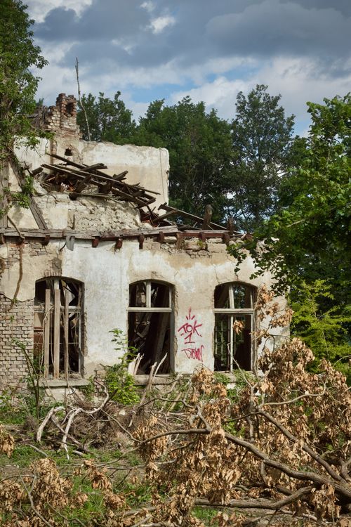 Free Dilapidated building surrounded by greenery and fallen branches, exuding an eerie yet natural charm. Stock Photo