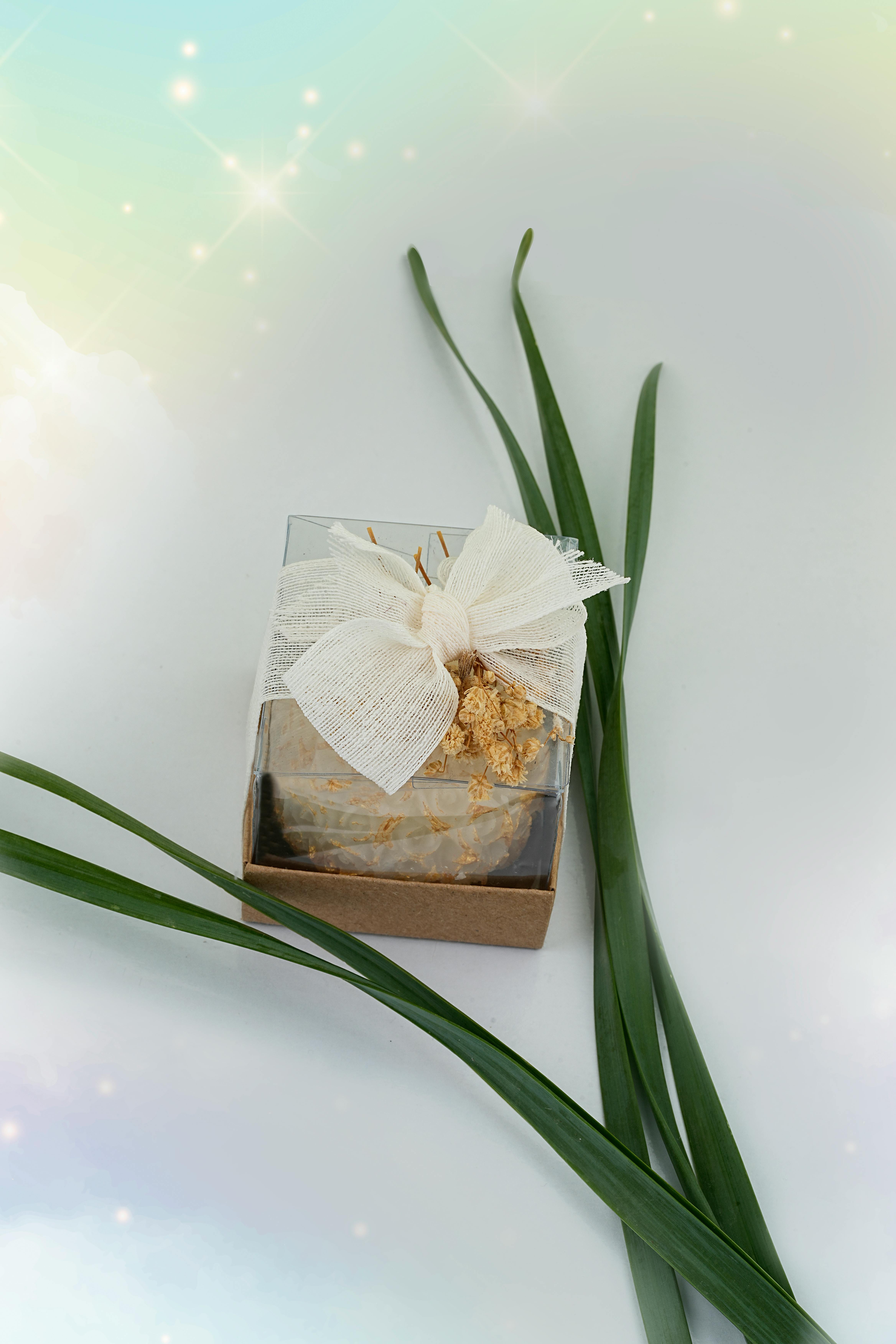 ingyenes Gyönyörűen becsomagolt, szalaggal átkötött, zöld növényekkel díszített ajándékdoboz, tökéletes különleges alkalmakra. Stockfotó