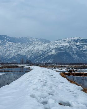 A serene snowy path leads towards mountainous terrain under a cloudy winter sky.