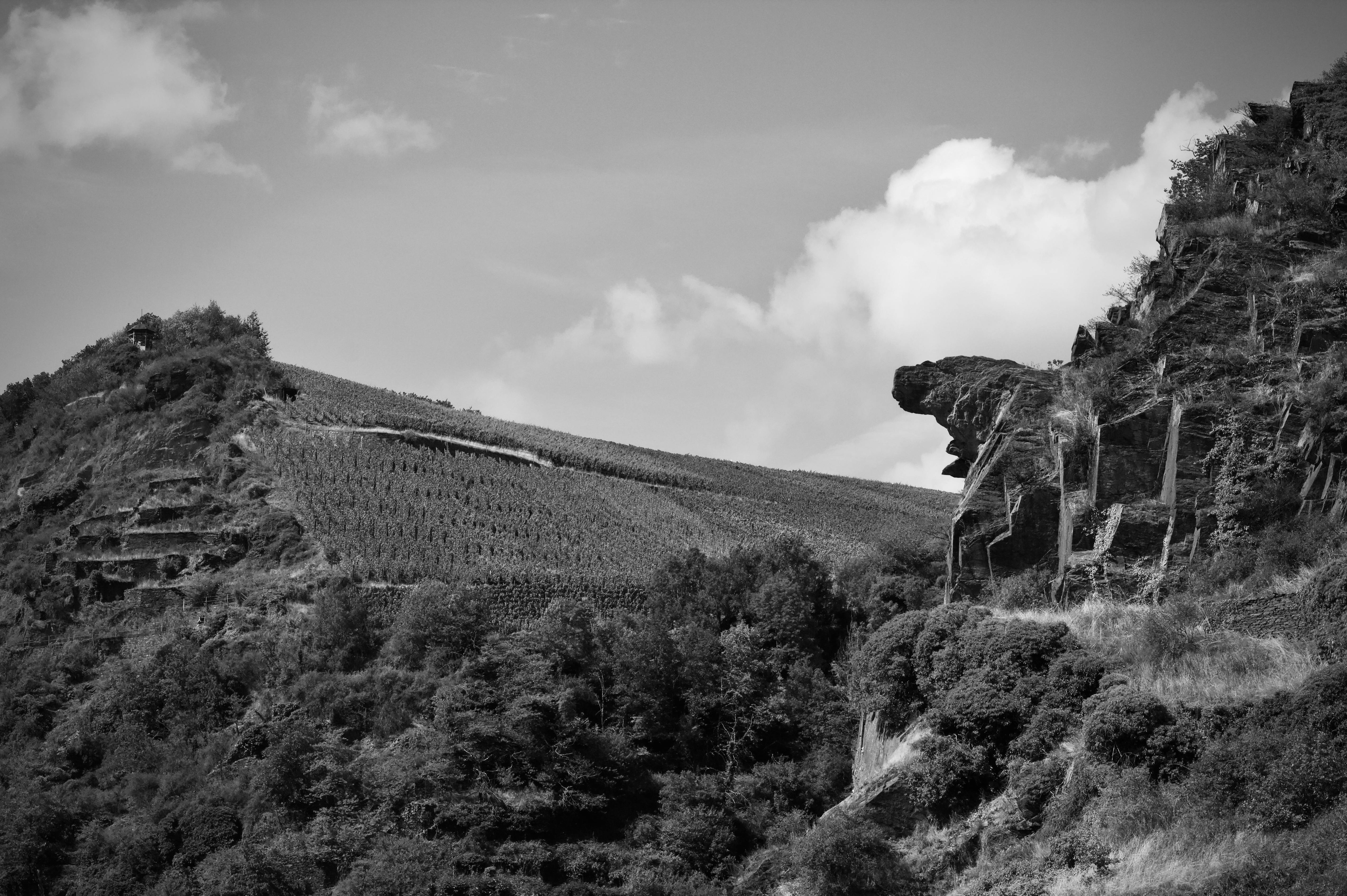 Gratis stockfoto met artistiek landschap, begroeiing, buiten Stockfoto