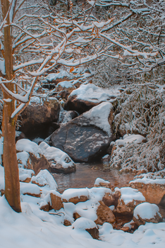 Tranquil snow-covered stream in a serene winter forest landscape.